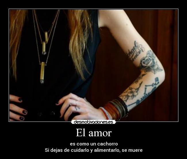El amor - es como un cachorro
Si dejas de cuidarlo y alimentarlo, se muere