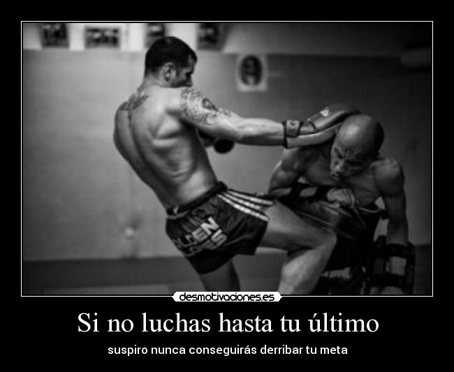 Si no luchas hasta tu último - 