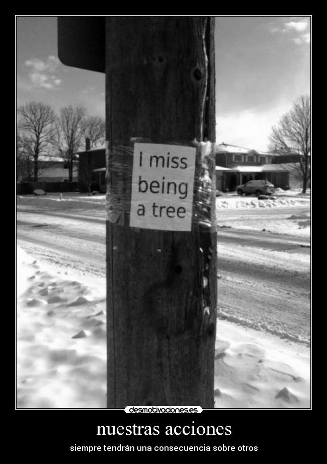 nuestras acciones - siempre tendrán una consecuencia sobre otros