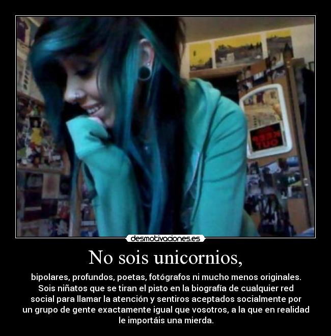 No sois unicornios, - bipolares, profundos, poetas, fotógrafos ni mucho menos originales.
Sois niñatos que se tiran el pisto en la biografía de cualquier red
social para llamar la atención y sentiros aceptados socialmente por
un grupo de gente exactamente igual que vosotros, a la que en realidad
le importáis una mierda.