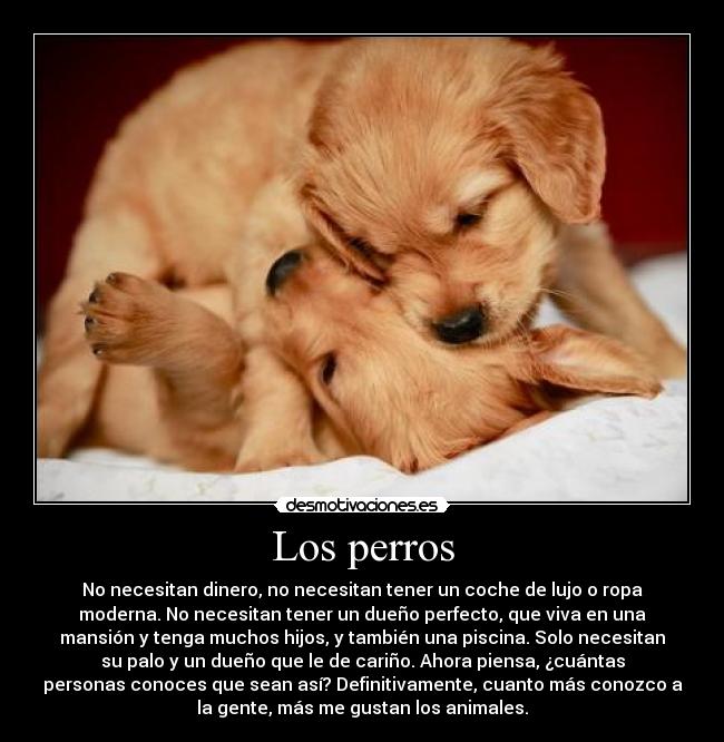 Los perros - No necesitan dinero, no necesitan tener un coche de lujo o ropa
moderna. No necesitan tener un dueño perfecto, que viva en una
mansión y tenga muchos hijos, y también una piscina. Solo necesitan
su palo y un dueño que le de cariño. Ahora piensa, ¿cuántas
personas conoces que sean así? Definitivamente, cuanto más conozco a
la gente, más me gustan los animales.