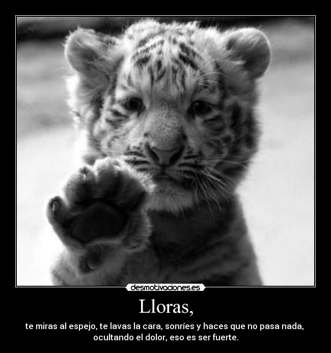 Lloras, - te miras al espejo, te lavas la cara, sonríes y haces que no pasa nada,
ocultando el dolor, eso es ser fuerte.