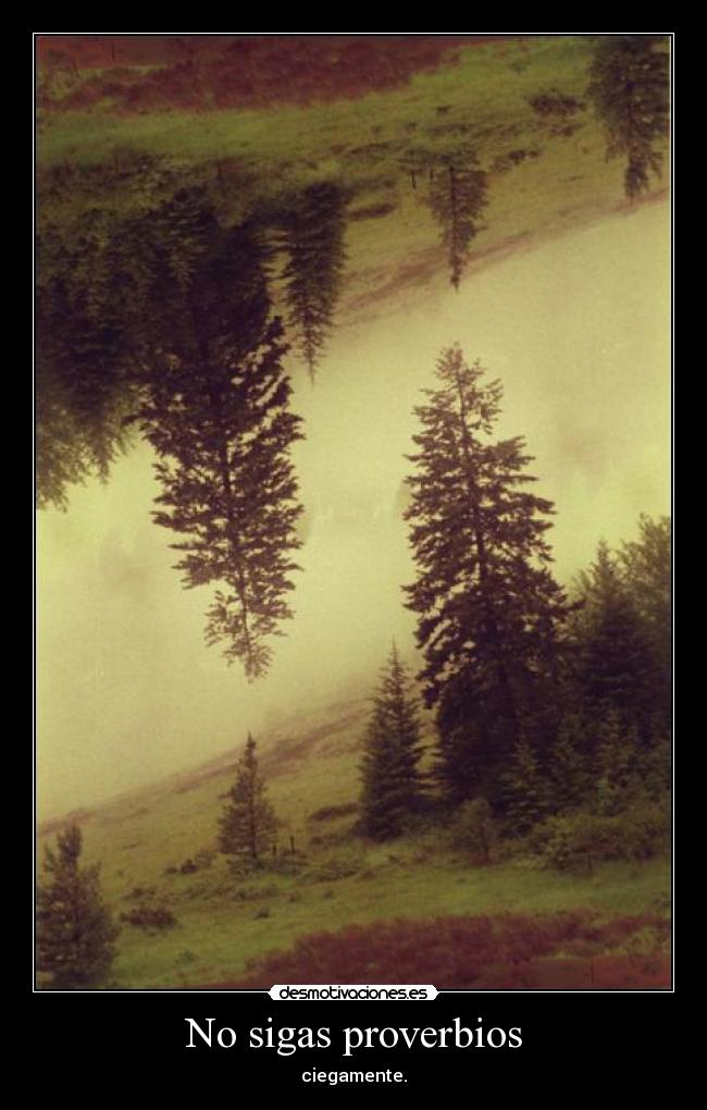 No sigas proverbios - ciegamente.