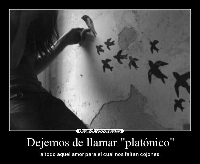 Dejemos de llamar platónico - a todo aquel amor para el cual nos faltan cojones.