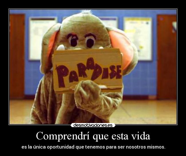 Comprendrí que esta vida -