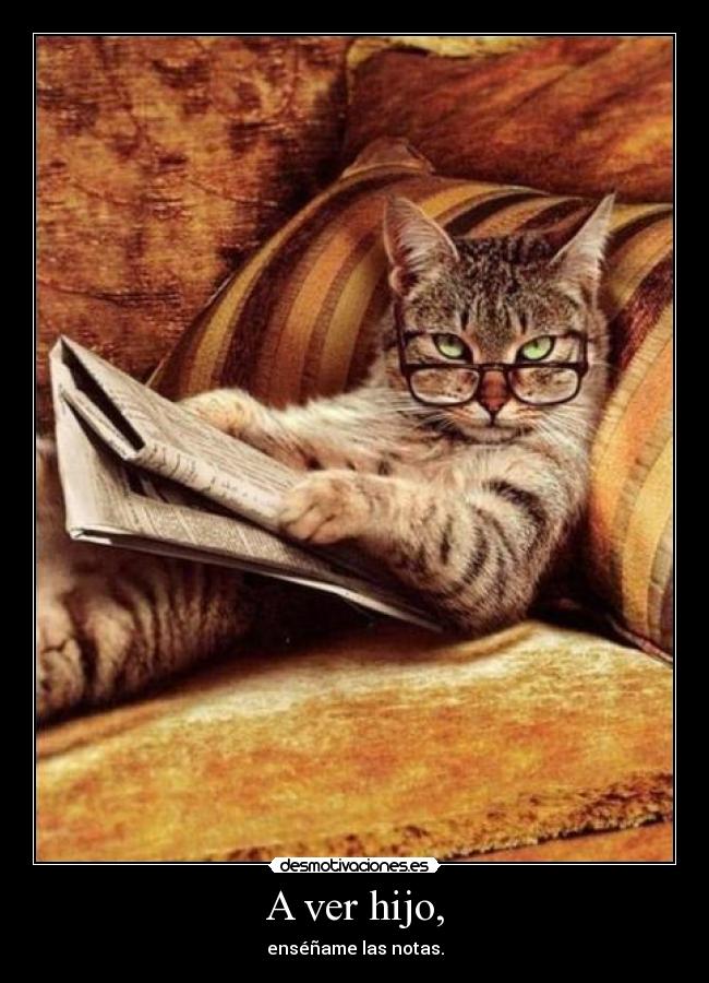 A ver hijo, - 