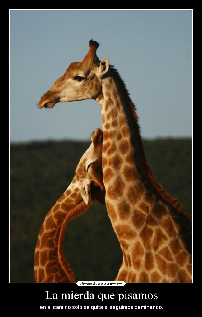 La mierda que pisamos - en el camino solo se quita si seguimos caminando.