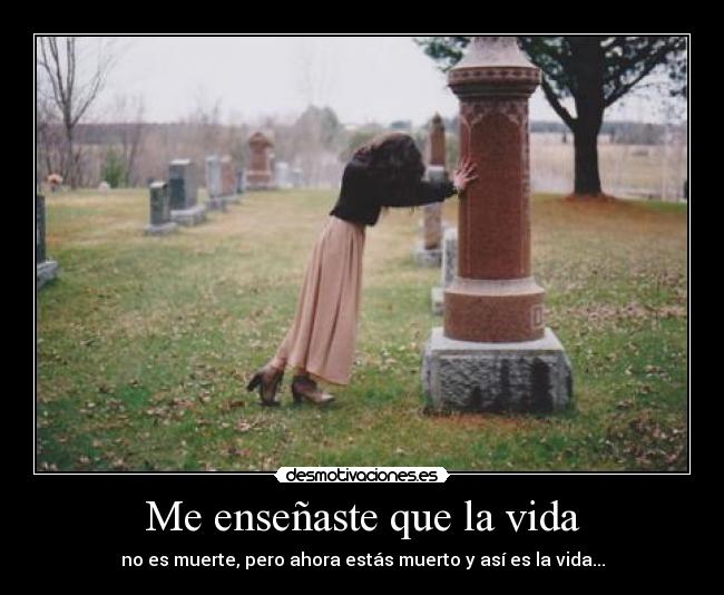 carteles vida makasister bien venido republica independiente mundo desmotivaciones