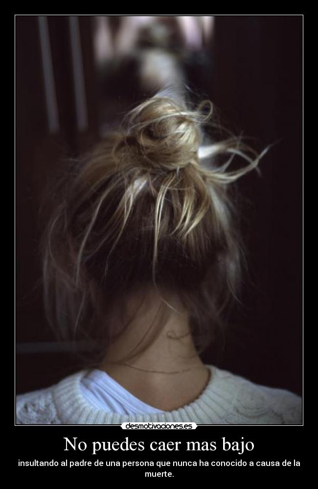 No puedes caer mas bajo - insultando al padre de una persona que nunca ha conocido a causa de la muerte.
