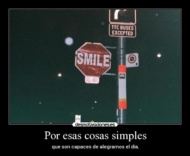 Por esas cosas simples - 