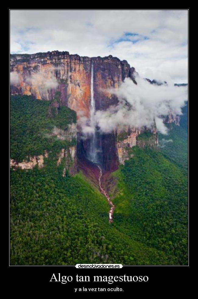 Algo tan magestuoso -