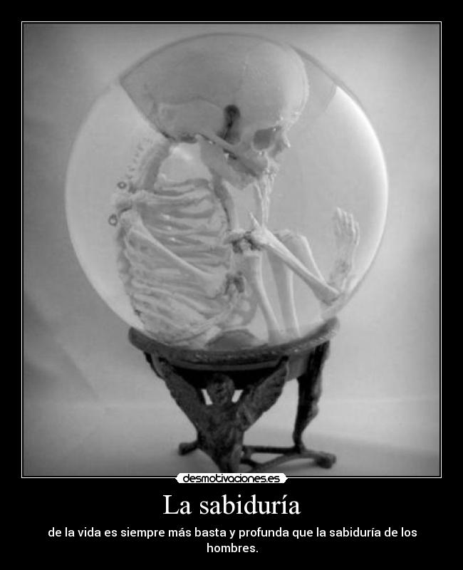 La sabiduría - de la vida es siempre más basta y profunda que la sabiduría de los hombres.