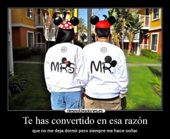 carteles ganas mordiscos espaldas aranadas peleas sofa quiero entre gemidos ocsuhc 253 mickey desmotivaciones