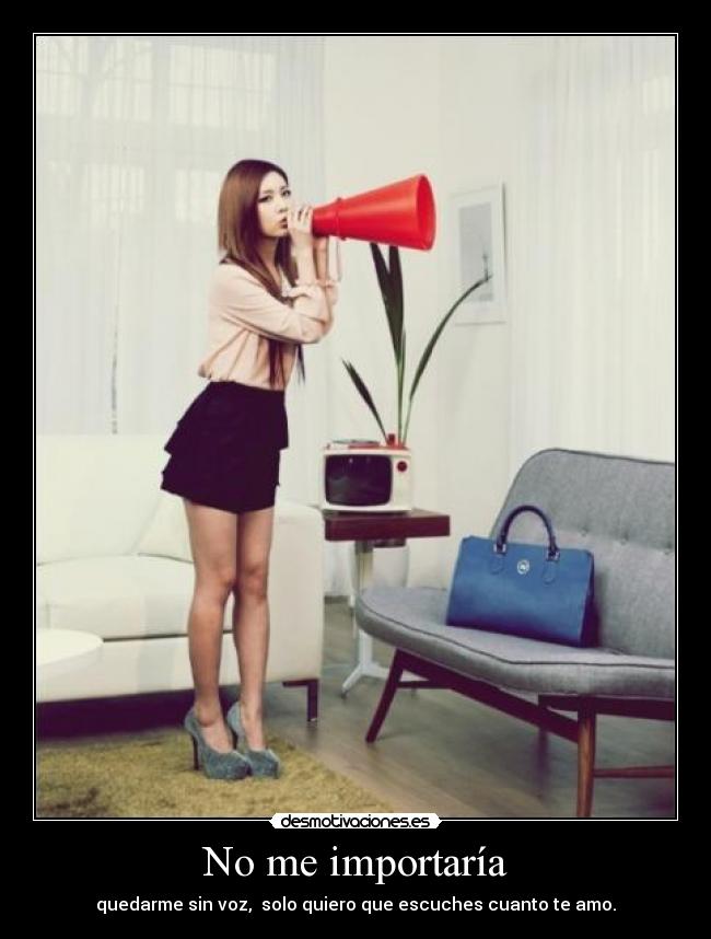 No me importaría -