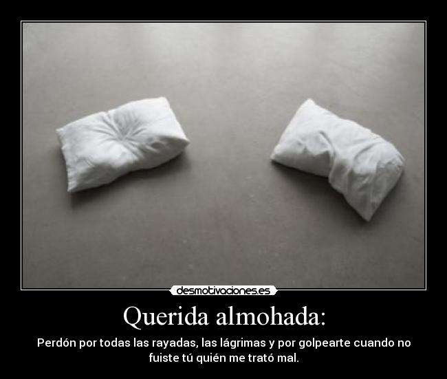 Querida almohada: - Perdón por todas las rayadas, las lágrimas y por golpearte cuando no
fuiste tú quién me trató mal.