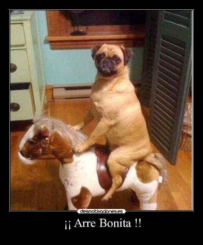 ¡¡ Arre Bonita !! - 