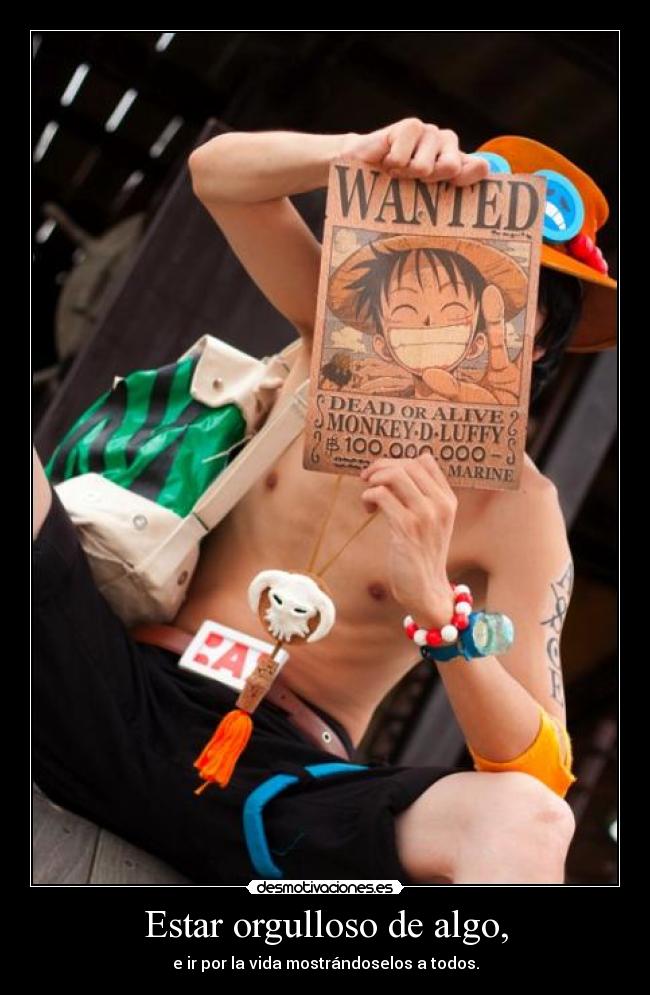 carteles one piece ace luffy anime manga desmotivaciones