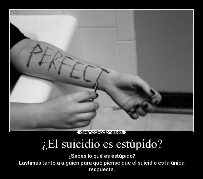 ¿El suicidio es estúpido? - 