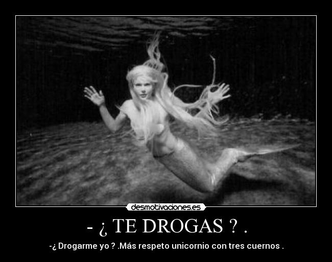 carteles tkmmaru carteles principal ven desmotivaciones