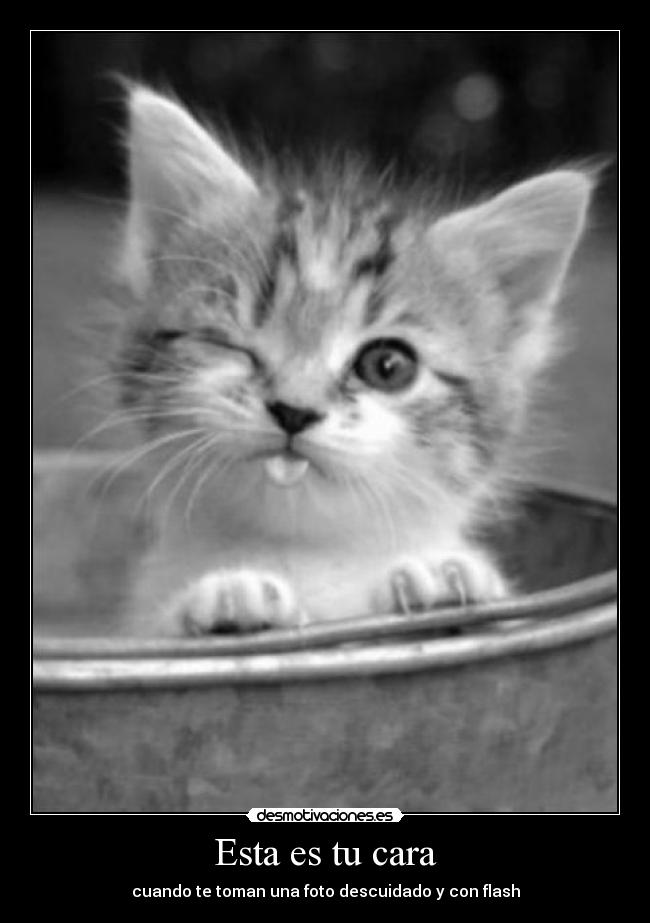 Esta es tu cara - cuando te toman una foto descuidado y con flash