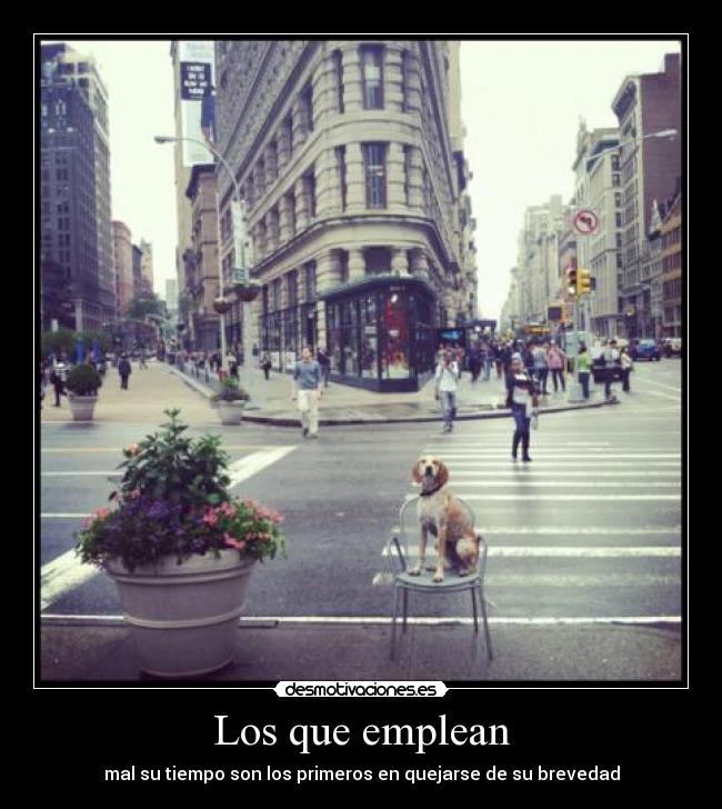 Los que emplean - 