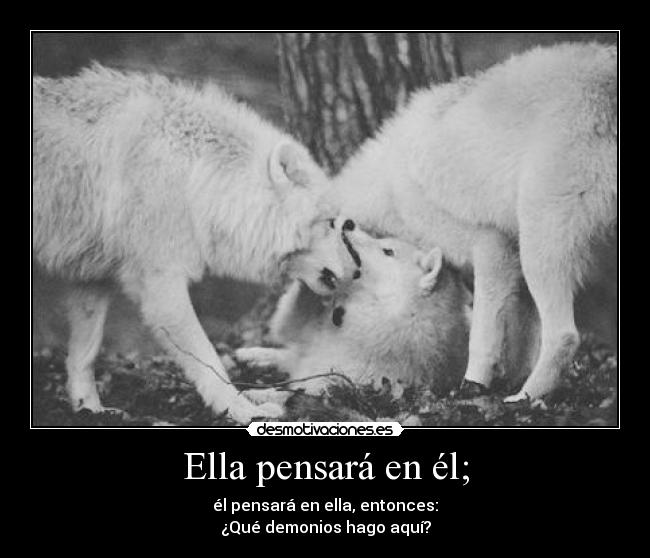 Ella pensará en él; - él pensará en ella, entonces:
¿Qué demonios hago aquí?