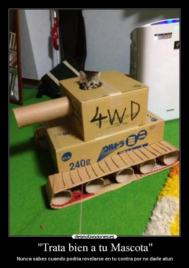 Trata bien a tu Mascota - Nunca sabes cuando podria revelarse en tu contra por no darle atun