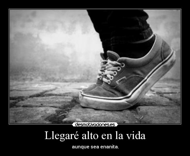 Llegaré alto en la vida - 