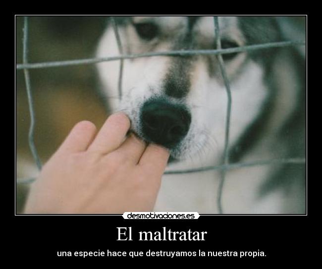 El maltratar -
