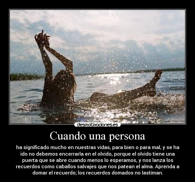 carteles olvido desmotivaciones