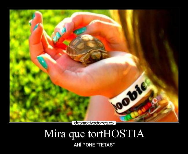 carteles boobies tortuga desmotivaciones