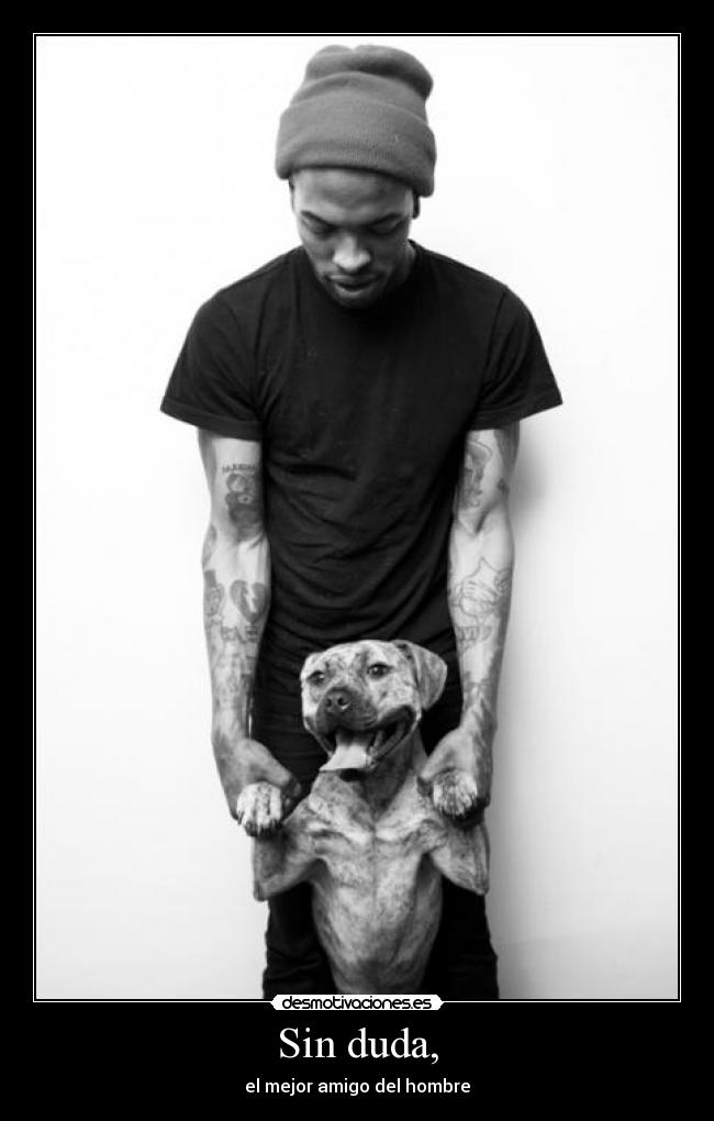 carteles mejor amigo homre perro desmotivaciones
