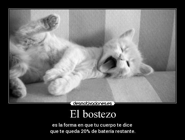 carteles bostezo sueno dormir desmotivaciones