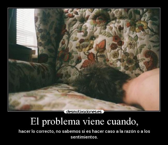 El problema viene cuando, - hacer lo correcto, no sabemos si es hacer caso a la razón o a los sentimientos.
