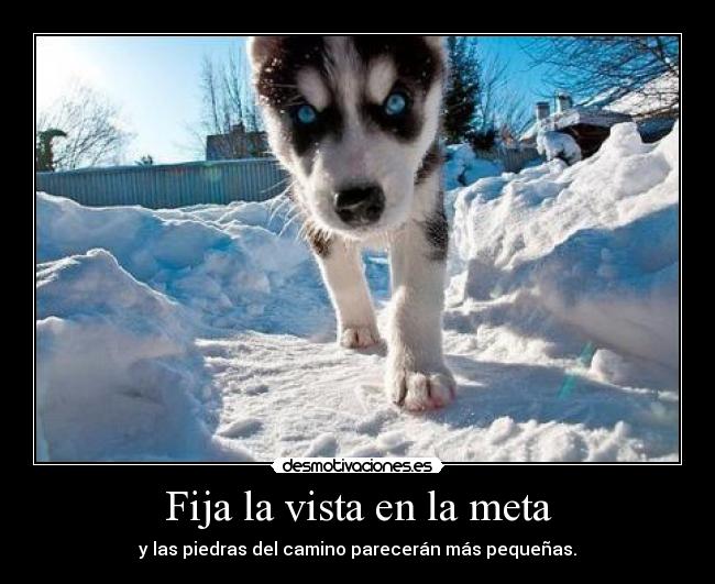 carteles bbjdfs desmotivaciones