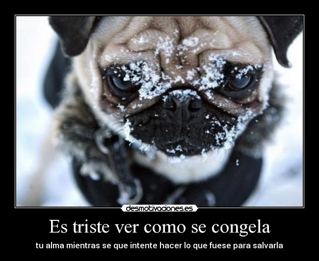 Es triste ver como se congela -