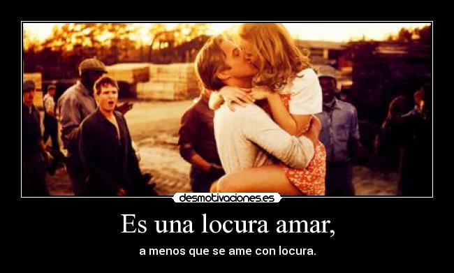 carteles locura locura amar ame locura desmotivaciones