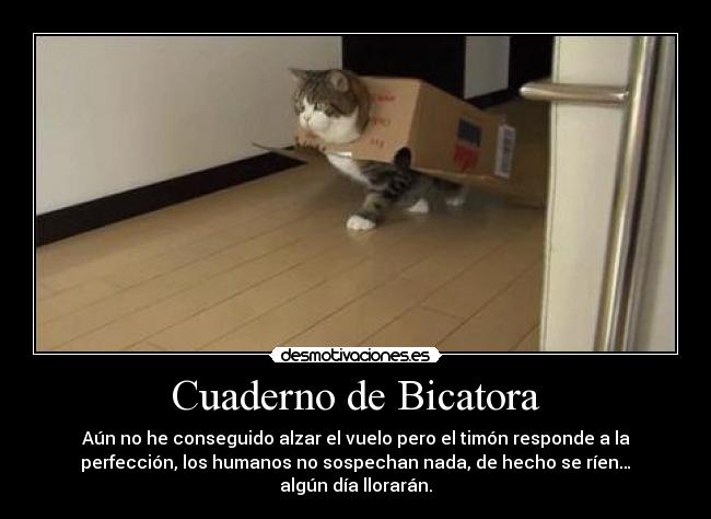 Cuaderno de Bicatora -