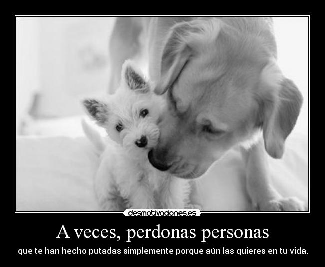 A veces, perdonas personas - 