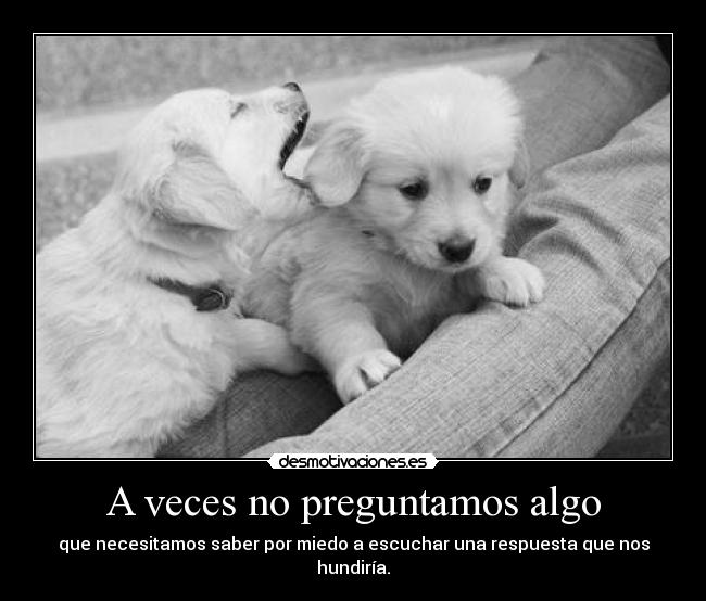 carteles veces preguntamos algo que necesitamos saber por miedo escuchar respuesta hundir pink desmotivaciones