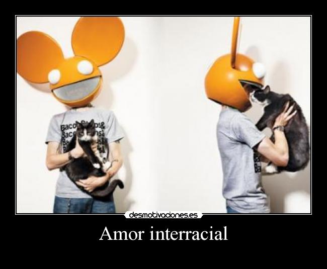 carteles amor gatossolo quiere sexo sabe lllove desmotivaciones