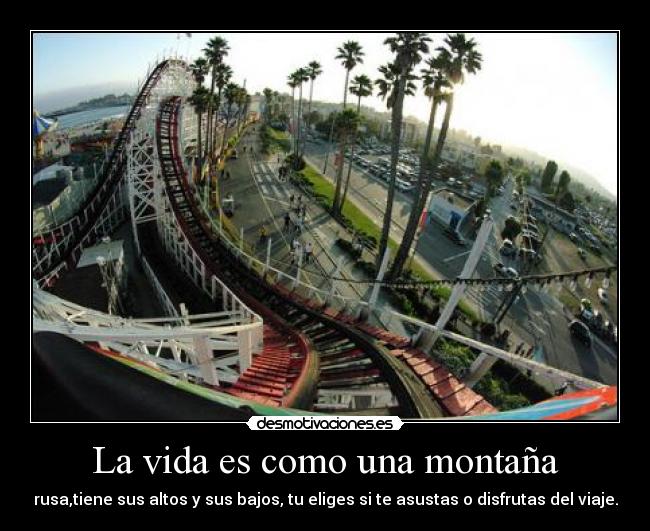 carteles vida feucha lml desmotivaciones