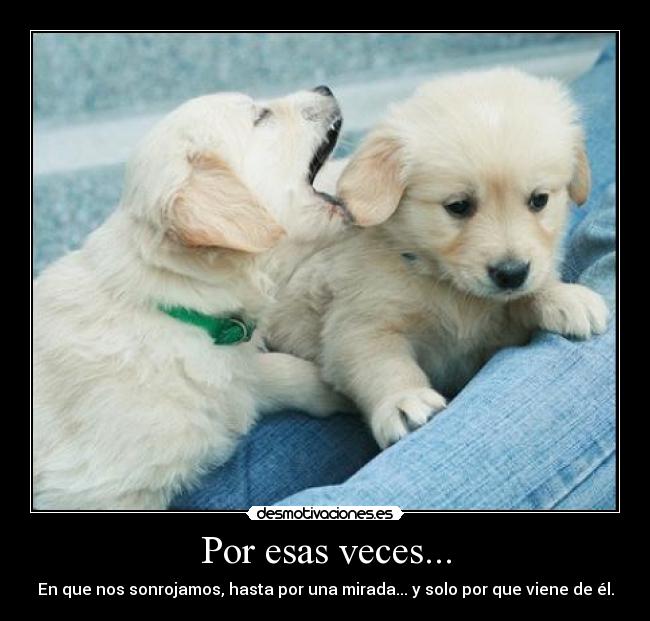 Por esas veces... - En que nos sonrojamos, hasta por una mirada... y solo por que viene de él.