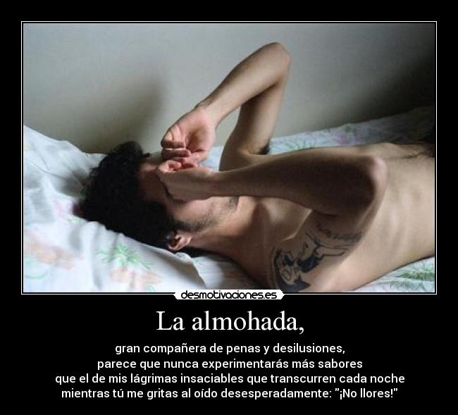 La almohada, - gran compañera de penas y desilusiones,
parece que nunca experimentarás más sabores
que el de mis lágrimas insaciables que transcurren cada noche
mientras tú me gritas al oído desesperadamente: ¡No llores!