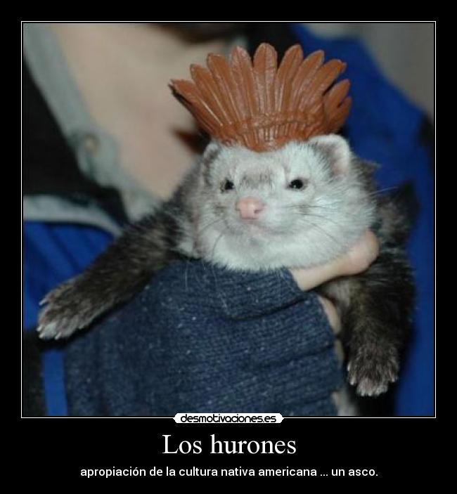 Los hurones - apropiación de la cultura nativa americana ... un asco.