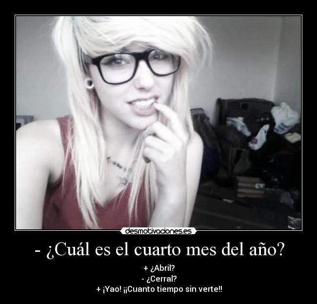 carteles makasister debe dejar los porros pero puede desmotivaciones