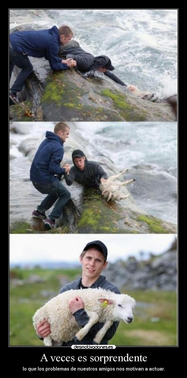 A veces es sorprendente - lo que los problemas de nuestros amigos nos motivan a actuar.