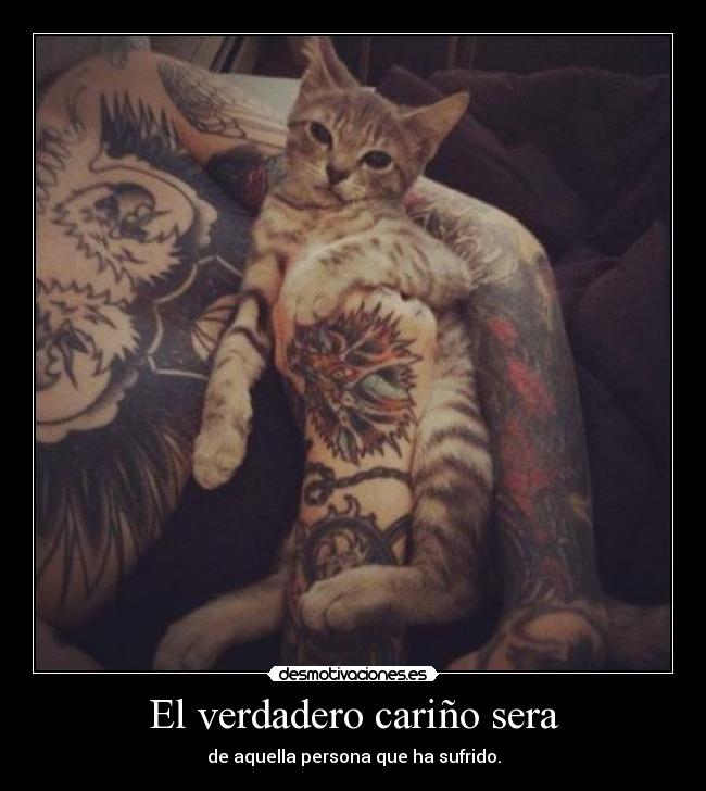 El verdadero cariño sera - de aquella persona que ha sufrido.