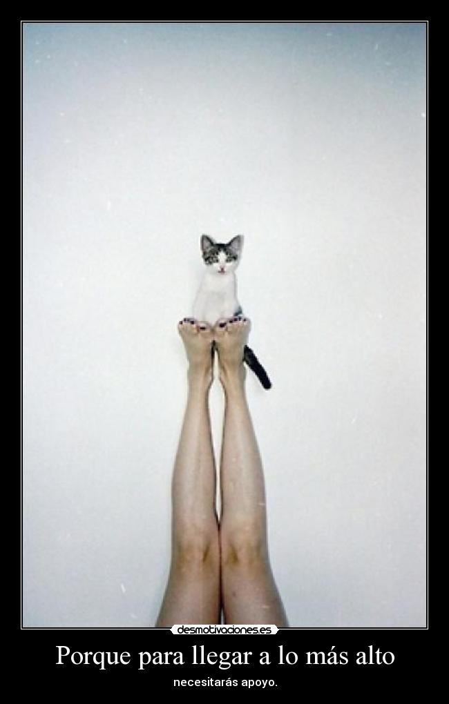 carteles lamask8 irca hostia cidonnch anapuntobgutierrez98 gateteteteteteeeeeeeeeeee desmotivaciones