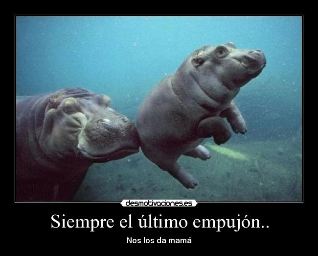 Siempre el último empujón.. -